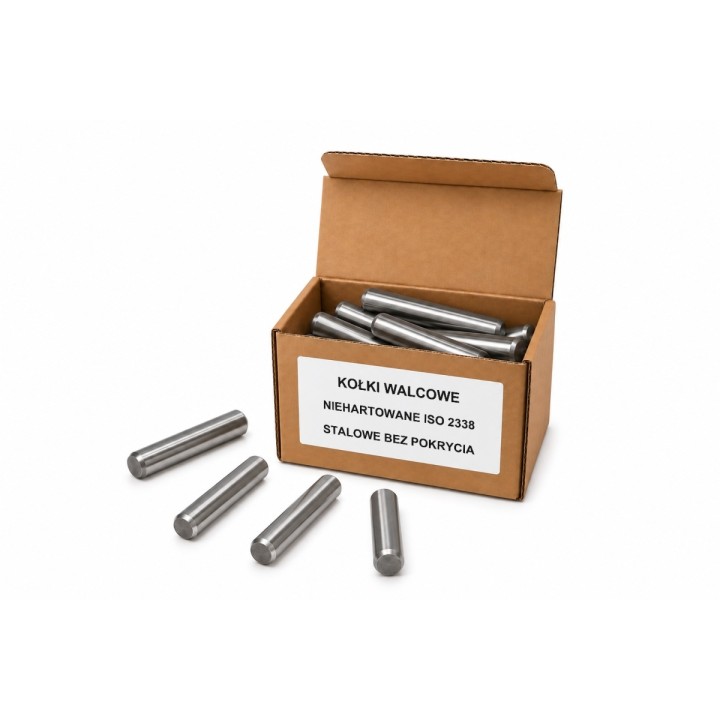 2,5x10 Kołki walcowe niehartowane ISO 2338 m6, stalowe bez pokrycia - 10 szt.