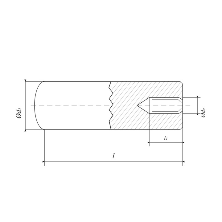 6x60 Kołki walcowe z gwintem wewnętrznym DIN 7979D m6, hartowany i szlifowany - 2 szt.