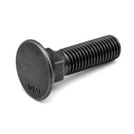M16x100 Śruba płużna z łbem stożkowym 10.9 bez pokrycia DIN 608 - 25 szt.