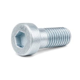 M4x10 Śruba z niskim łbem walcowym i gniazdem sześciokątnym 8.8 ocynk DIN 6912 - 500 szt.