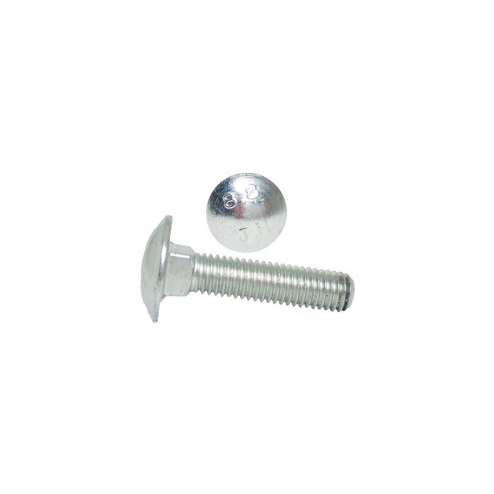 M8x25 Śruby zamkowe kl.8.8 ocynk DIN 603 PG 5 szt.