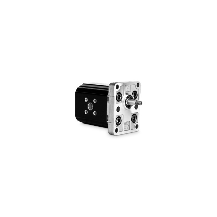Pompa hydrauliczna zębata LV-1P/9,8 cm3/obrót L1P3602FJJA