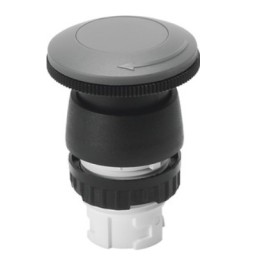 Przycisk PR-22-RT FESTO