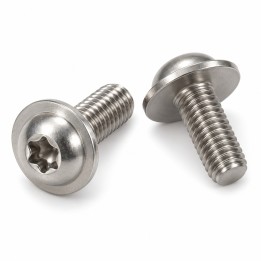 Śruby Torx A2 z łbem kulistym i kołnierzem - ilustracja rodziny