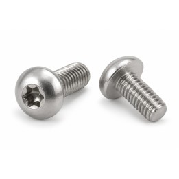 Śruby Torx A2 z łbem kulistym - ilustracja rodziny