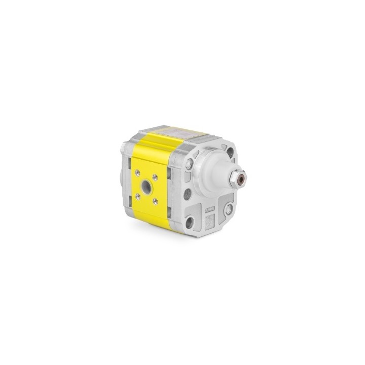 Silnik hydrauliczny dwukierunkowy XV-2M/06 cm3/obrót X2M4307FRRE