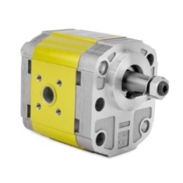 Silnik hydrauliczny dwukierunkowy XV-2M/09 cm3/obrót X2M4507FRRE