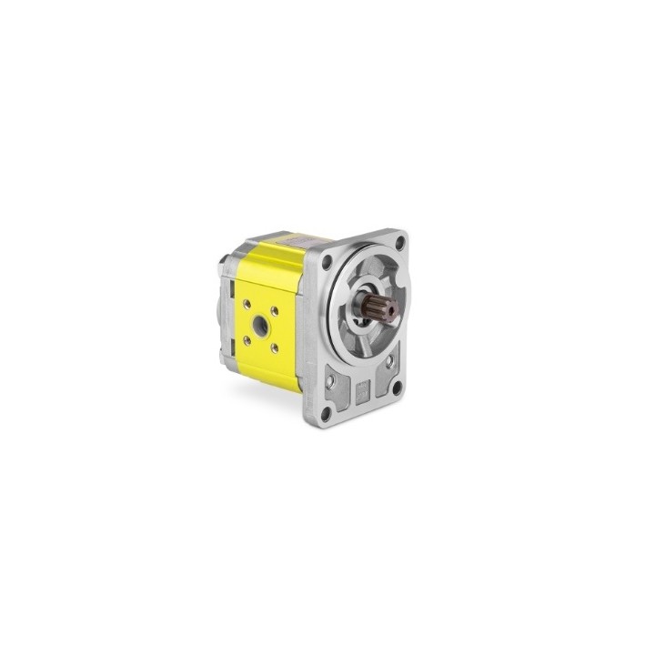 Silnik hydrauliczny dwukierunkowy XV-2M/09 cm3/obrót X2M4525HRRE