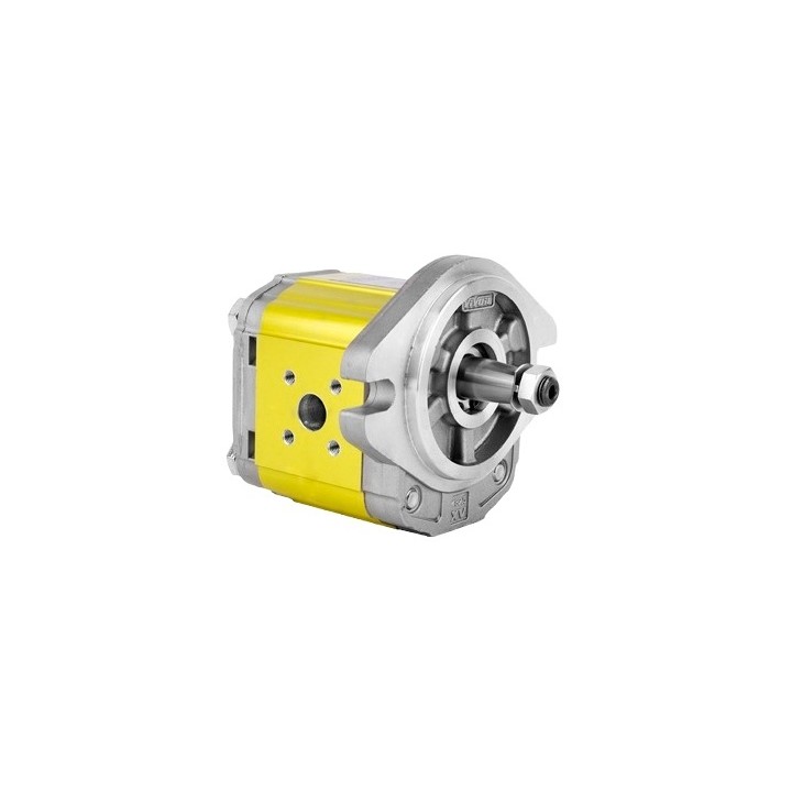 Silnik hydrauliczny dwukierunkowy XV-2M/11 cm3/obrót X2M4732FRRE
