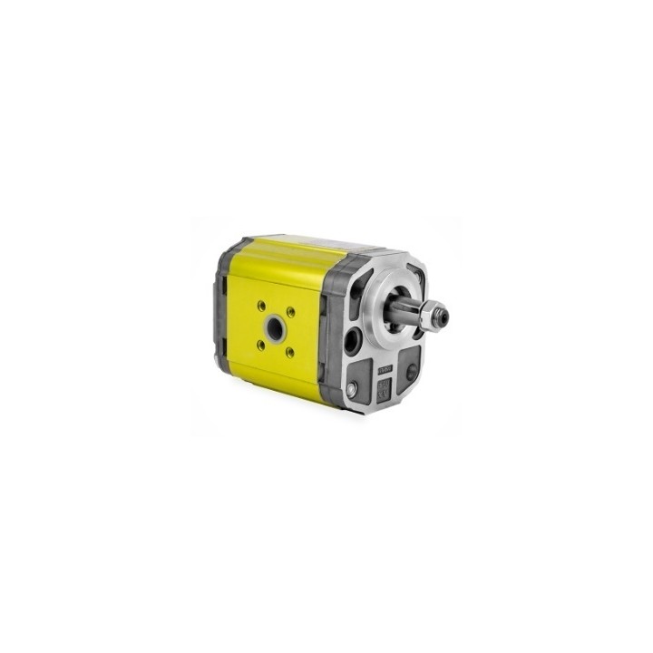 Silnik hydrauliczny dwukierunkowy XV-2M/22 cm3/obrót X2M5513FRRE