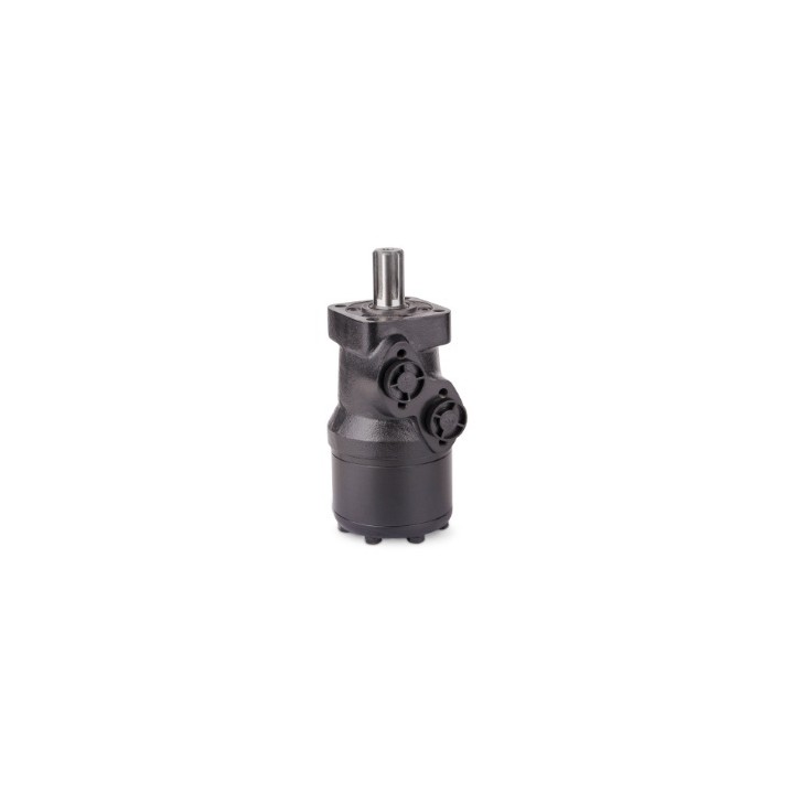 Silnik hydrauliczny MARQ250SD [MARQ250SD-SKY380139]