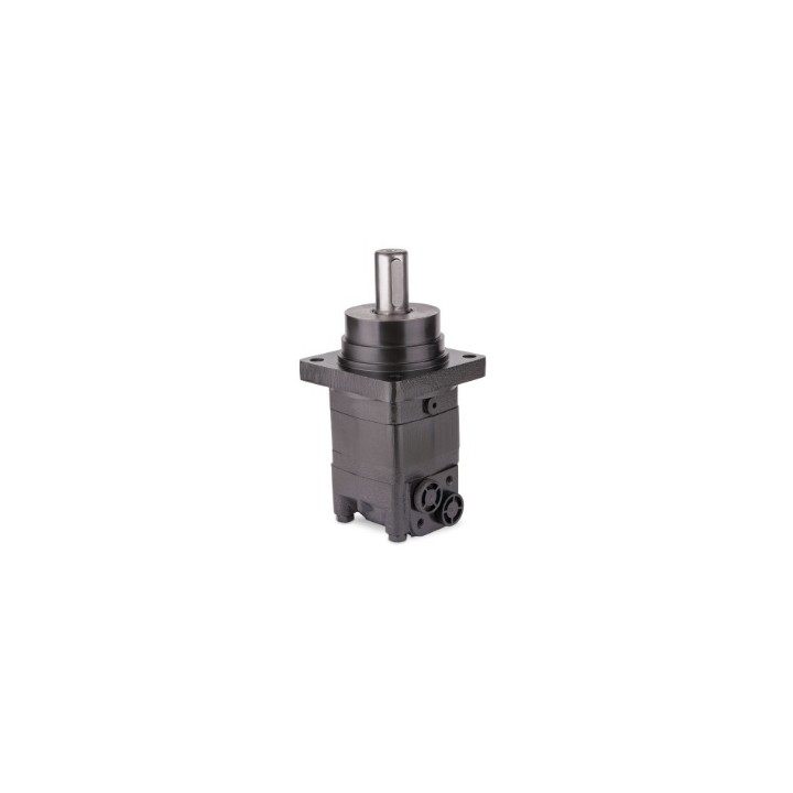 Silnik hydrauliczny MASEWD250CG