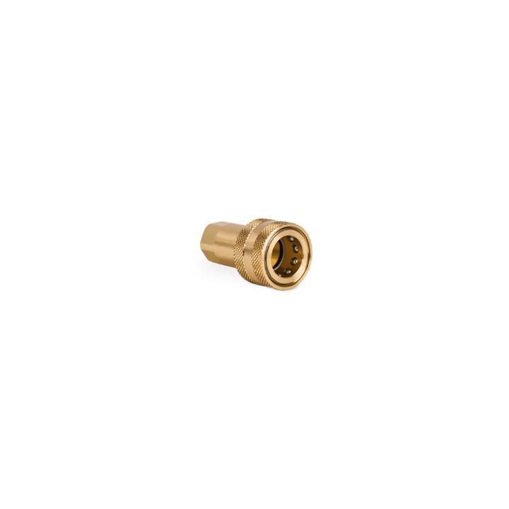 Szybkozłącze grzybkowe ISO/B 3/8" mosiądz gniazdo F.IRBO38V BSP 160 bar 804500104