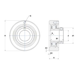 Zespół z oprawą żeliwną C205/6205SEE SNR