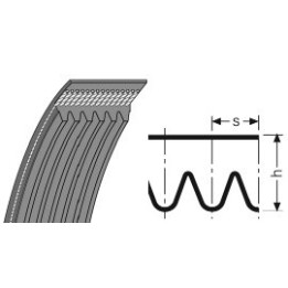 Pasek wielorowkowy 12-PL-2743 SIT