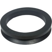 V-RINGI