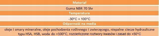 Simering 200x240x15 nierdzewna sprężyna