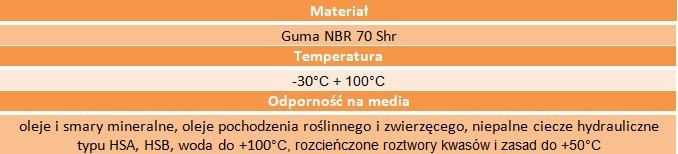 Simering uszczelniacz 25x35x7 nierdzewna sprężyna