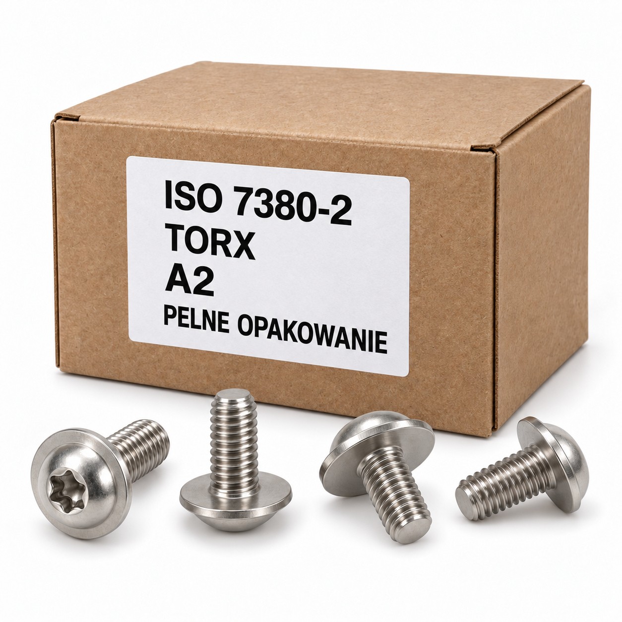 Pełne opakowanie śrub Torx A2 - własna ilustracja kartonika rodziny