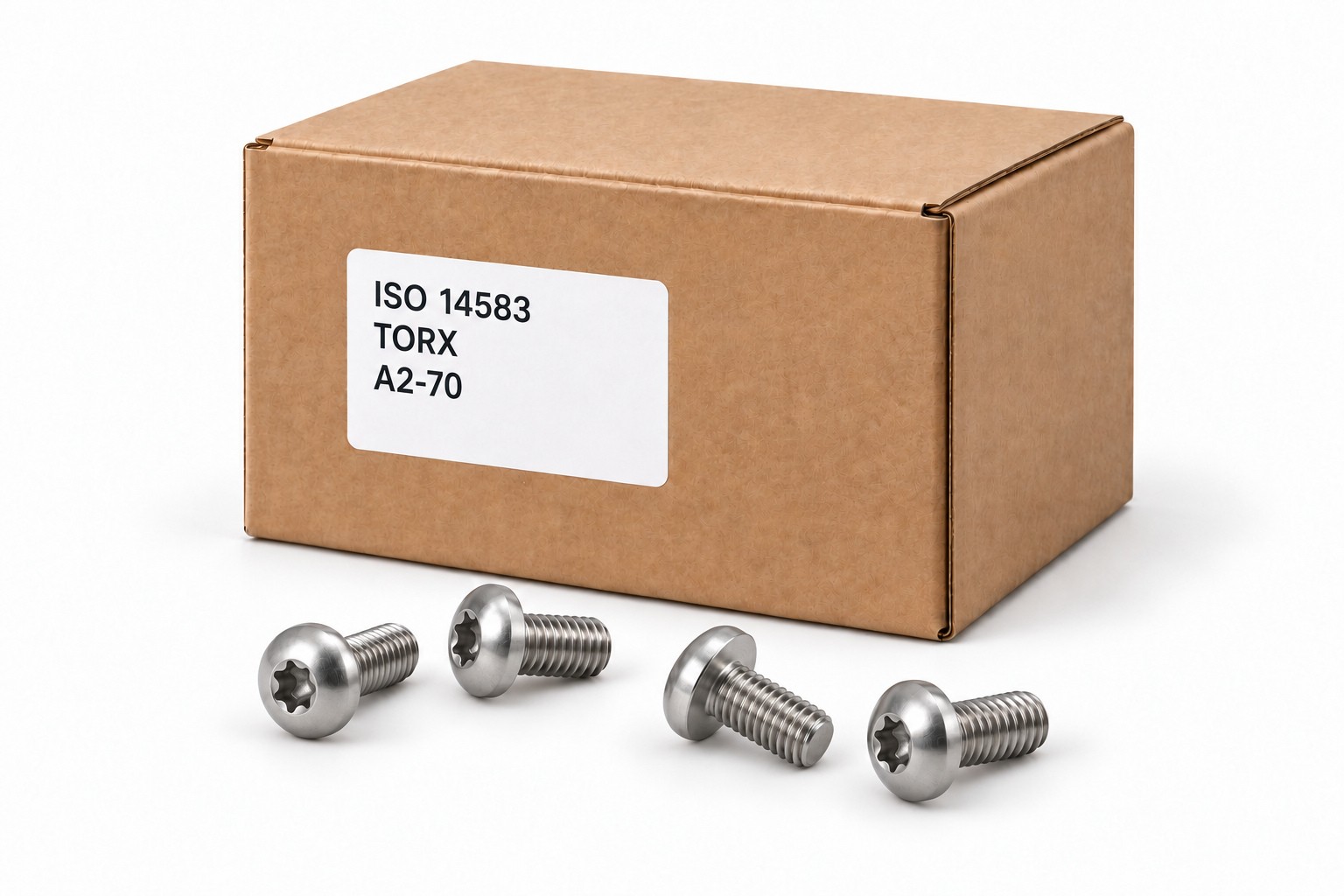 Wkręty ISO 14583 Torx A2-70 - neutralna ilustracja kartonika