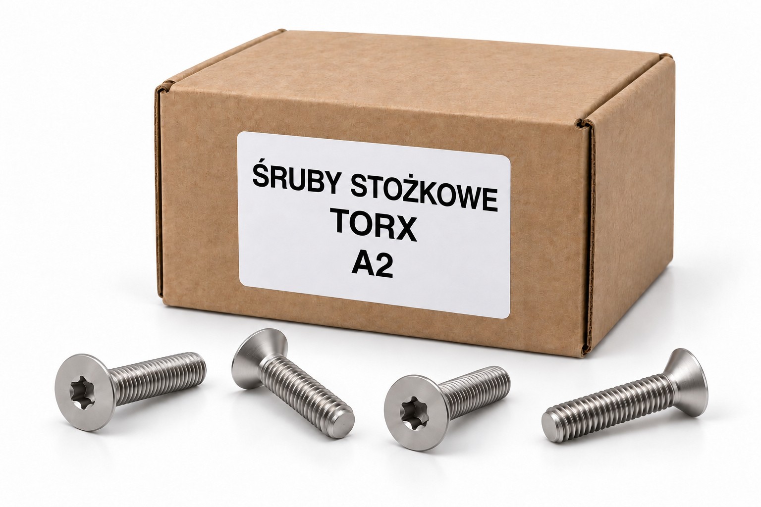 Śruby stożkowe Torx A2 - neutralna wizualizacja kartonika